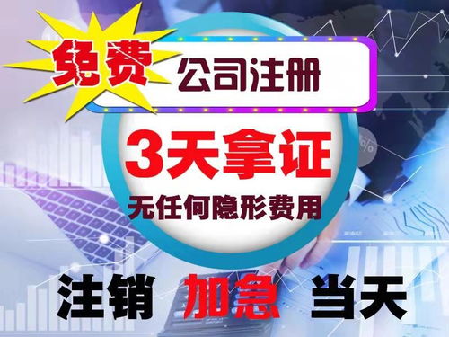 图 成都专业注册公司 财务代理 免费注册 注销 变更,专项审批 成都工商注册