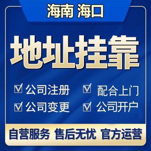 海南代办注册公司(海南代办注册公司的正规公司)