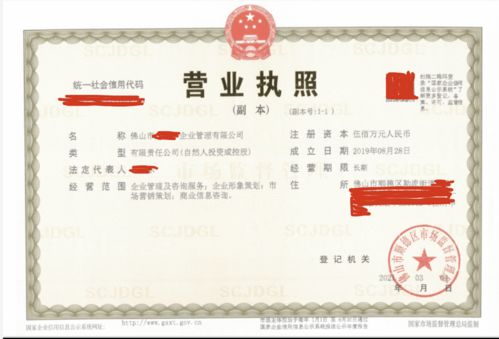 顺德区企业管理公司不懂填写经营范围,靠代理3天完成公司注册