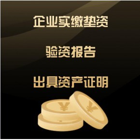 代办上市公司年底审计过账机构