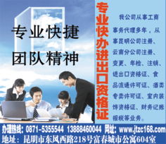 给力昆明公司注册 云南分公司注册代理 审批进出口资格证