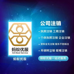 代理记账与财务咨询 一站式企业服务解决方案